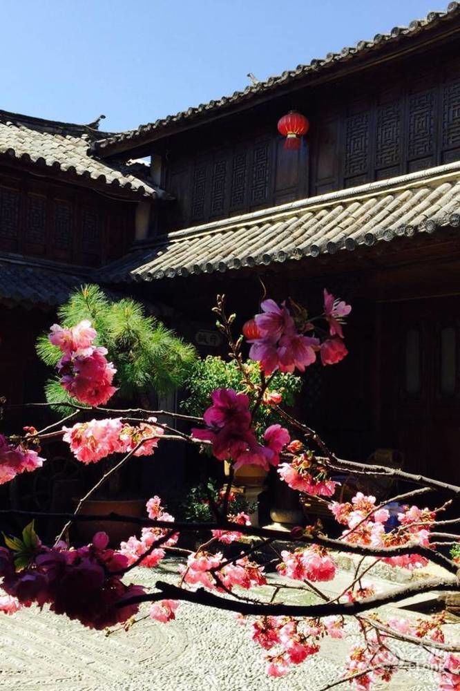 Lijiang Merry Inn Exterior foto